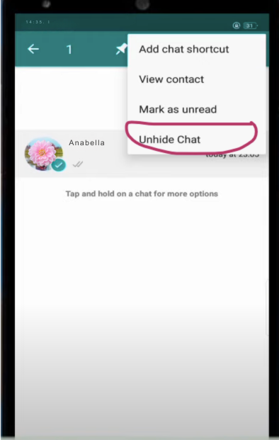 How to unhide chats in FMWhatsApp?